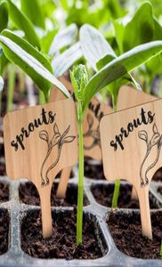 50PCS TTYPE BAMBAL PLANTラベルeCOFRINDLY WOODES SIGN TAGS SEED POTTED HERBS FLOWERS TOOLS DECORATIONS1632981の庭のマーカー