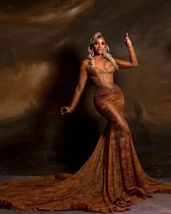 Chocolate Brown Lace Mermaid Evening Dresses African Formal Occasion Prom Dress Plus Size Stretch Lace Aso Ebi Reception Gown