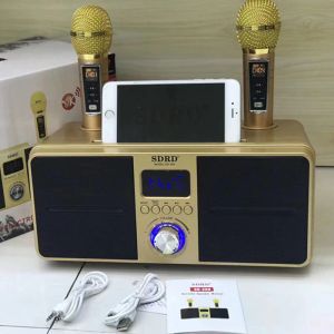 Subwoofer Karaoke Wireless Bluetooth Dźwięk kolumna 3D stereo subwoofer z podwójnymi mikrofonami Muzyki Centrum systemu telewizyjnego/komputera