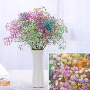 Decorative Flowers 100g Big Bunch BabysBreath Natural Dried Preserved Gypsophila Flower Easter Decor 2023 Party Supplies Mothers Day Spring 2024304