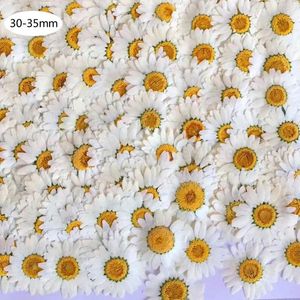 İyi DIY 100pcs gerçek doğal kurutulmuş presli çiçekler beyaz papatya çiçek reçine mücevher çivi çıkartmaları makyaj sanat el sanatları 240223