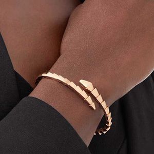 Elastic Serpentine scale designer single bangle for woman diamond Gold plated 18K official reproductions fashion classic style premium gifts 015