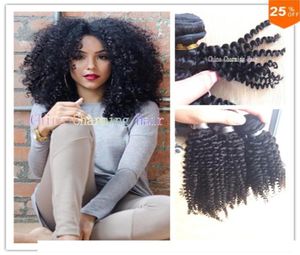 Charmigt hårvävning Curly Brasilian Afro Kinky Curly 3st Bunds obearbetade Jerry Curl Human Virgin Hair Weave Bohemian Hair1249647