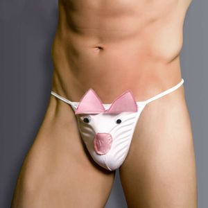 Physiological, With A Penis. Underwear, Cute And Sexy Thong. Men's Pink Thong, Tempting 767310