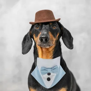 Cão vestuário pet bib lenços para cães bandanas guardanapos bonitos colar médio laços de poliéster