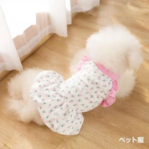 Dog Apparel Pet Thin Teddy Bear Small Spring Strawberry Lace Princess Wind Skirt Clothes Puppy Summer Dress Luxury Clothing