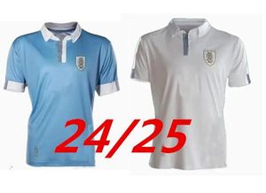 2024 Uruguay Soccer Jerseys anniversary 100th special L.SUAREZ E.CAVANI N.DE LA CRUZ in-house Shirt G.DE ARRASCAETA F.VALVERDE R.ARAUJO R.BENTANCUR Football Uniform 999