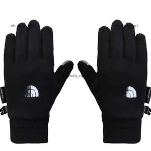 2024 America Designer The Nort Face Men's Outdoor Gloves New Women Man Waterproof Riding Plus Velvet Thermal Fitness Outdoors Warm Gloves Cycling Motorcykel 364