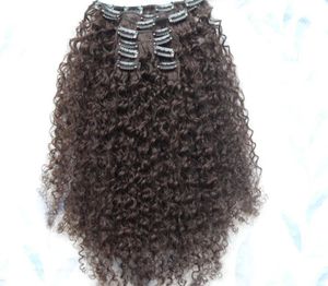 Nowy przybycie Malaysia Virgin Afro Kinky Curly Hair Clip w perwersyjnym Curly Ciemnobrązowy 2 Color Human Extensions4365882