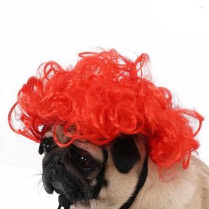 Hundkläder Cat Wig Curly Hair for Halloween Christmas Parties roliga husdjur med justerbar band cosplay po rekvisita