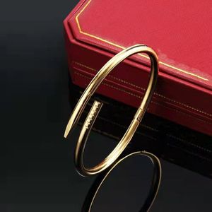 Lovers Bracelet Screw Nail Bracelets Cuff Womens Titanium Steel Gold Charm Luxury Bangle Pulsera For Mens And Women Party Couples 267r