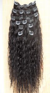Ganze brasilianische menschliche Jungfrau-Remy-Haarverlängerungen, verworrene lockige Clip-in-Webarten, natürliche schwarze Farbe, 9 Stück, ein Bündel 5399780