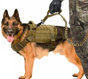 Hundkläder Taktisk väst andningsbara militära kläder med molle och robust handtag för träningsvandring3951870