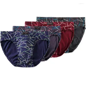 Cuecas Sexy Men Underwear Briefs Algodão Listrado Breve Biquíni Respirável Sob Desgaste