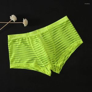 Cuecas de malha pura roupa interior baixa cintura calcinha bikini tanga transparente mens briefs bulge bolsa