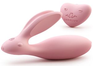 8 funzioni impermeabile USB ricaricabile telecomando senza fili mutandine vibranti in silicone vibratore del coniglio giocattoli del sesso per le donne 179011912265