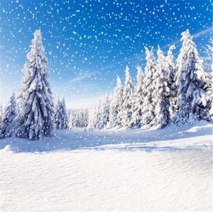 Blue Sky Falling Snowflake Backdrop för POGRAFI Tjock snötäckta tallar Väg utomhus Scenic Winter Holiday PO Studio 3674534