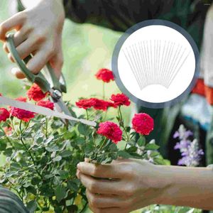 Fiori decorativi 20 pezzi impollinatore attrezzi da giardinaggio penna per timone per frutta piantare in plastica albero di pesco per