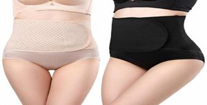 Waist Support Breathable Pregnant Postpartum Corset Belly Bands Trainer Belt Prenatal Care Training Slimming Band6800535