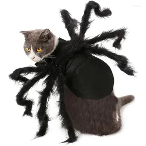 Cat Costumes Halloween Pet Costume Simulation Party Dress Up Outfits Dressing Spooky Spider för liten till medelstora hund