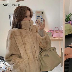 Fur 2021 European and American Autumn and Winter Mink Fleece Faux Fur Jacket Women Thick and Warm Korean Fashion Streetwear