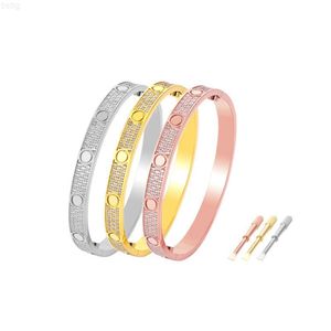 Klassisk gipsophila rostfritt stålarmband 18K Guldpläterad designer full diamantarmband