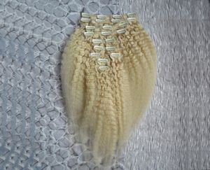 Blonde brasilianische verworrene glatte Echthaar-Clip-in-Haarverlängerung, 10 Stück und 120 g, Set 12 24 Zoll, Remy Coarse Yaki, Clip-in ext4738825