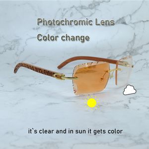 Diamond Cut Photochromic Sunglasses Color Change Two Colors Lenses 4 Season Glasses Frame Designer Carter Luxury Eyewear Tiger Wood Sun Glasses