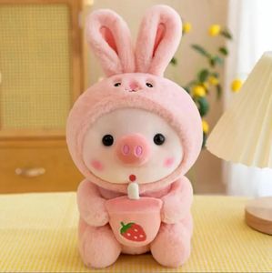 2024 Size 25cm Supper Soft Stuffed Plush Toy Big Eye Pig Frog With Fruit Toys Stuffed Sleeping Pillow Boy Girl Birthday Gift