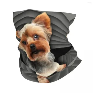 Bandanas yorkshire terrier bandana pescoço mais quente feminino inverno caminhadas esqui cachecol gaiter yorkie cão filhote de cachorro rosto capa