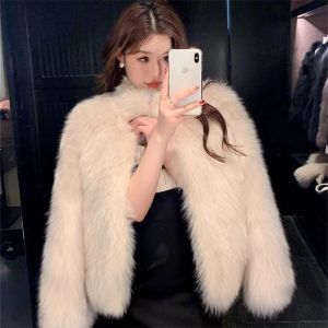 Irons 2024 New Imitate Fox Hair Environmental Protection Fur Autumn/Winter Stand Collar Short Fur Coat Women's Thick Warm Jacket Brown