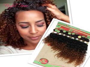 Ombre Burgundy Kinky Curly 14inch Brazilian Hair Wave Deep Curly Human Hair Extension African American Malays Hair Hum4263872