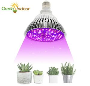 Żarówki rosną światło dla roślin czerwone niebieskie białe diody LED UV IR Phytolamp Orchids wewnętrzna lampa fito pełna spektrum Lights1047208