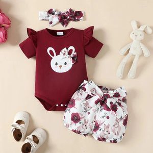 Clothing Sets 2024-01-03 Lioraitiin 0-18M Born Baby Girl Outfits Ruffle Long Sleeve Ribbed Romper Top Bow Pants With Headband