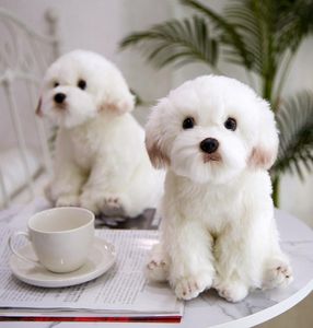 High Quality Maltese Dog Plush Toy Maltese Dog Doll simulation Doll Gift For Kids And Lovers Birthday Gift9108332