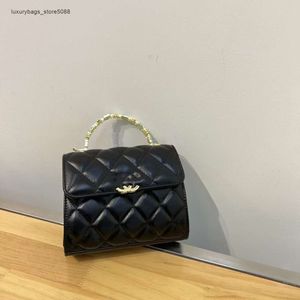 Borsa a tracolla da donna di design Borsa a tracolla da donna Nuova moda Piccola e profumata Wind Ling Grid Chain Una spalla Vera pelle Stella Stesso stile