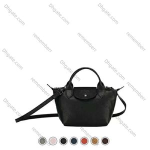 2024 High Quality Handbag Large Capacity Tote Bag Capacity and Cloth Shoulder Sac Size Beach Bag Designer Nylon Purses Shopping 70th Anniversary Leather