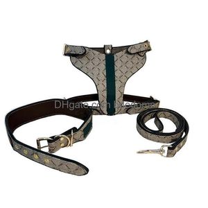 Designer Dog Harness Hållbara starka husdjurskrage med klassiskt brevmönster Läder stor tung väst för Boxer Pitbl Rottweiler Dhrij