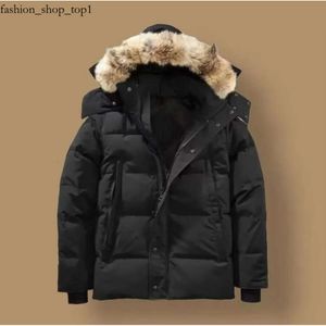 Piumini Canada Giacca Designer Vera pelliccia di coyote Giacca a vento da esterno Capispalla Piumino con cappuccio Cappotto Parka Canada 237