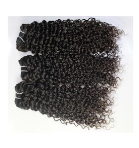 Brasilianskt hår peruanska indiska malaysiska Jerry Curly Hair Weaves 3 Buntel Lot 100 Obebehandlat billigt peruansk hårvävning 9A 577166480233