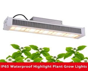 Greenhouse Full Spectrum Cob Grow Lights 320 640W 301B LED Light AC100277V Indoor Toplight Hydroponics Vegetable Flower Plant Gro3460202