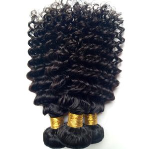 Trama dei capelli umani vergini brasiliani malesi Estensioni morbide dei capelli ricci profondi Bellezza economica Indiano Remy Capelli umani tesse 3 4 5pcslot5485011