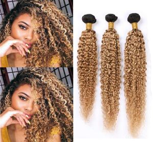 Ombre Honey Blonde Kinky Curly Наращивание человеческих волос Dark Root 1B 27 Перуанские вьющиеся пучки человеческих волос Светло-коричневый Ombre Virgin H4568489