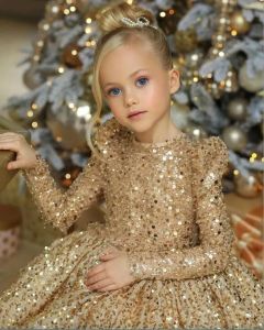 Gold Ball Gown Flower Girl Dresses for Wedding sequined Beaded Puffy Little Girls Pageant Dress Toddler First Communion Gowns