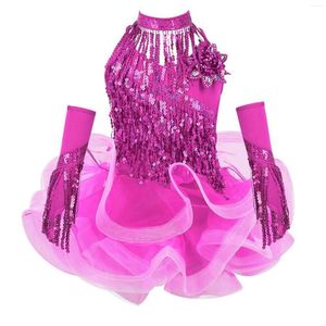 Stage Wear Wholesale Sparkling Tassel Sleeveless Tutu Latin Dance Dress Performance
