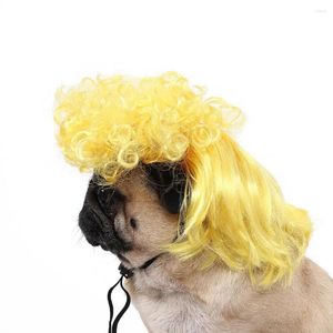 Abbigliamento per cani Divertente accessorio per animali domestici Parrucca per gatti con capelli ricci per Halloween Festa di Natale Cosplay Divertente copricapo con fascia regolabile Gatti
