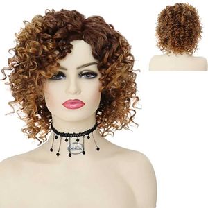 Haarperücken, synthetische kurze Perücken für Frauen, Ombre-Braun, Afro-verworrene lockige Perücke, weiblich, Cosplay, Halloween, täglicher Gebrauch, Party, Kostüm, Geschenke, 240306