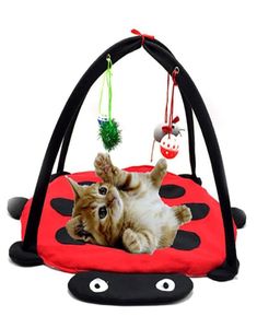 Pet Cat Bed Cat Play Tent Toys Mobil Aktivitet Spela Bed Pad filt House Pet Furniture House With Ball2902221