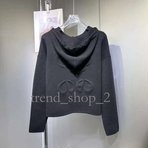 Kvinnors designer tröjor loeve tröja stickad sweatshirt crew nacke long sleee cardigan loweve hoodie brev broderi kläder casual höst vinter varma toppar 170