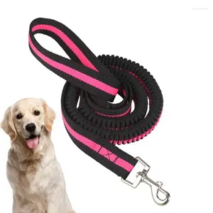 Collari per cani Corda in nylon resistente e resistente Comoda impugnatura imbottita Cintura di sicurezza ad alta elasticità per auto